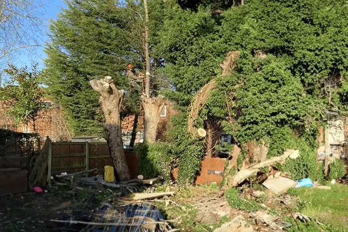Emergency tree removal by The Walsall Tree Surgeon.